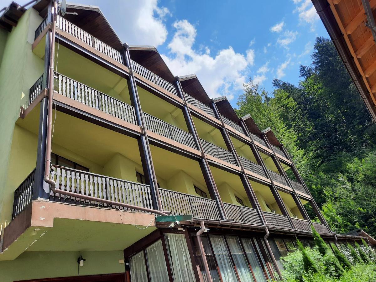 Ezio House Hotel Timisu de Jos Buitenkant foto