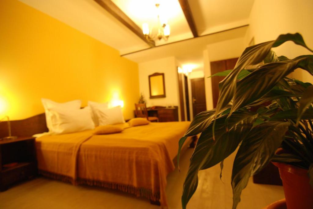 Ezio House Hotel Timisu de Jos Buitenkant foto